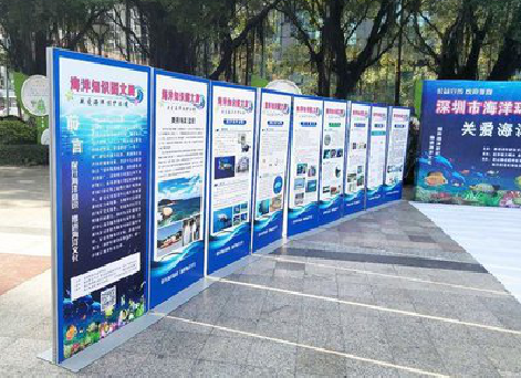 布拖KT板的种类和知识。